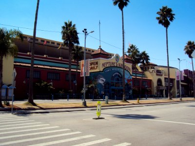 neptune`s kingdom 