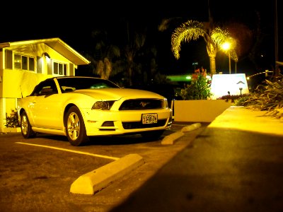 mustang 