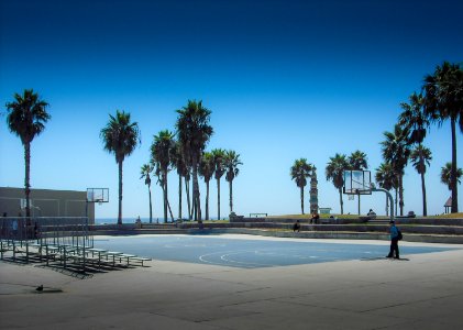 venice court 
