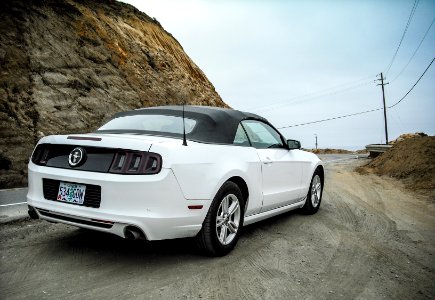 rental mustang 