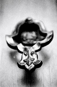 Date macro black and white