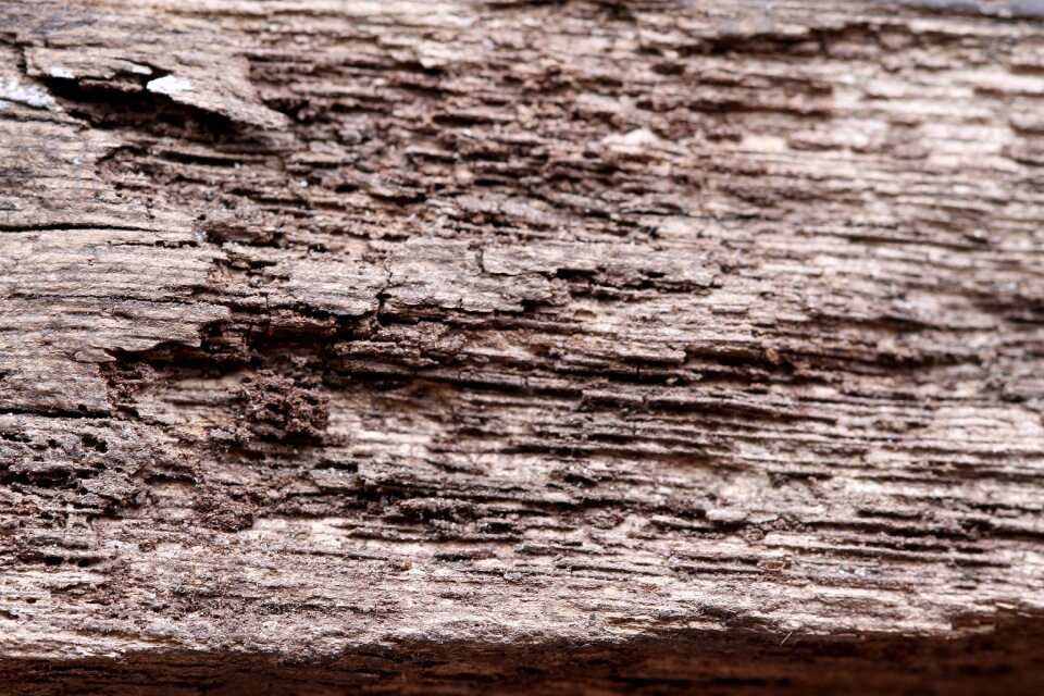 Wood texture wooden texture wooden