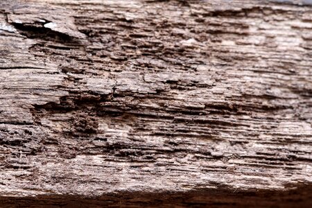 Wood texture wooden texture wooden photo