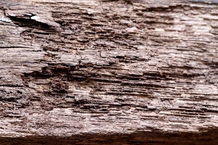 Wood texture wooden texture wooden