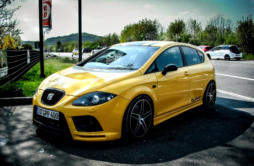 yellow leon 