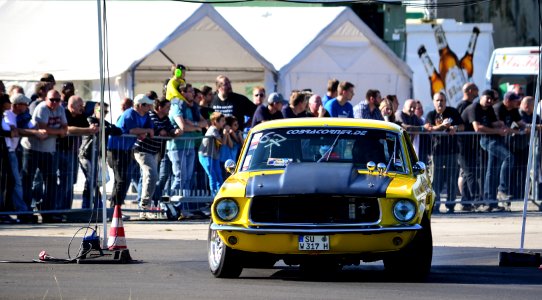 yellow pony 