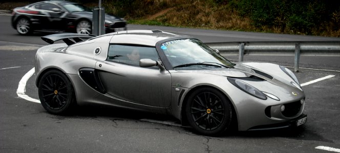 lotus 