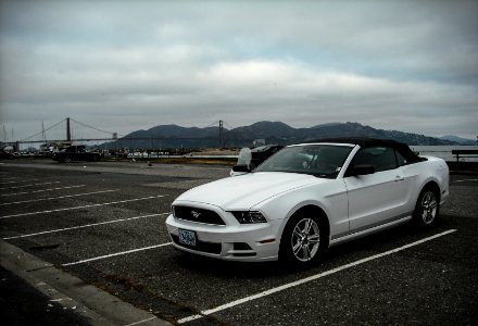 rental mustang 