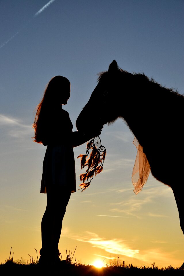 Dream catcher human girl