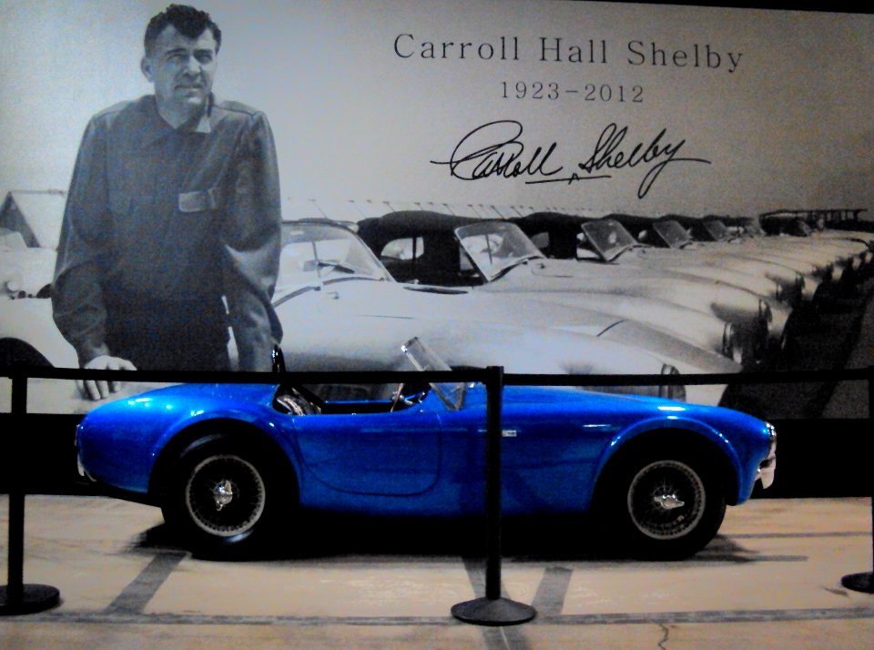 shelby 