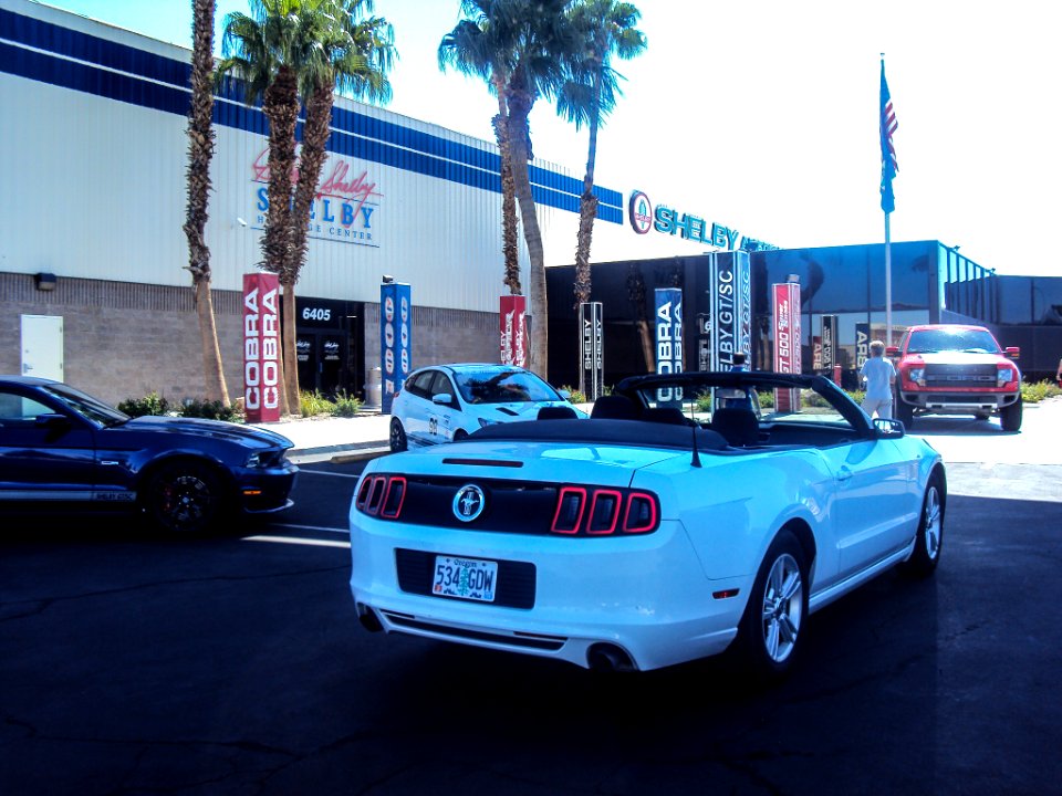 rental at shelby america 
