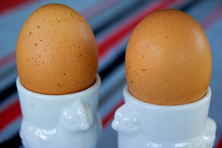 Eggs egg cups hen