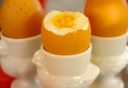 Eggs egg cups hen