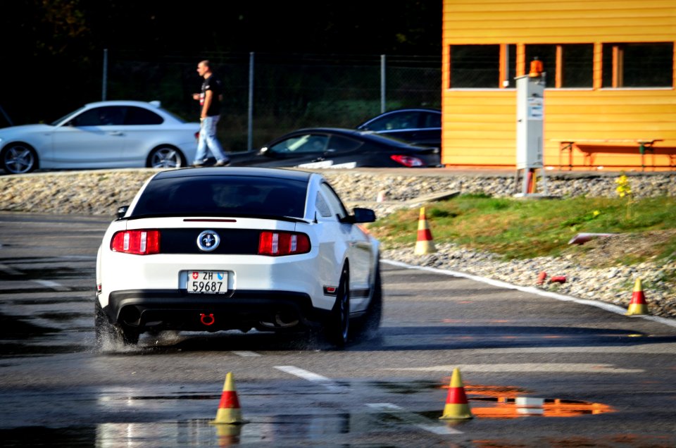 mustang 