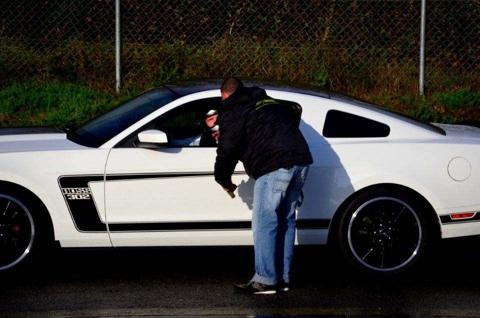 mustang 