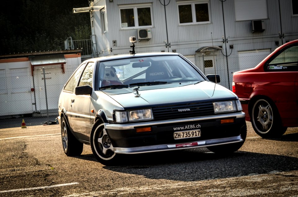 hachi 