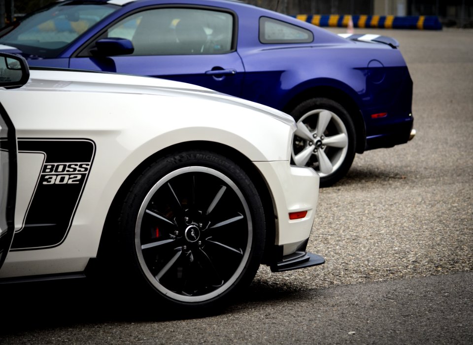 mustangs 