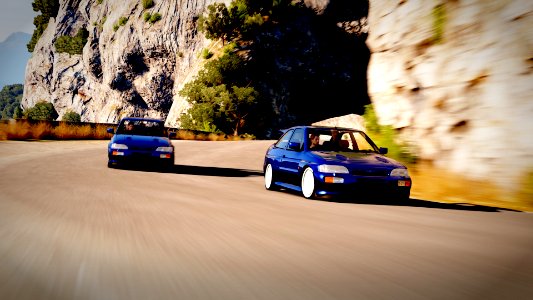 blue cossis 