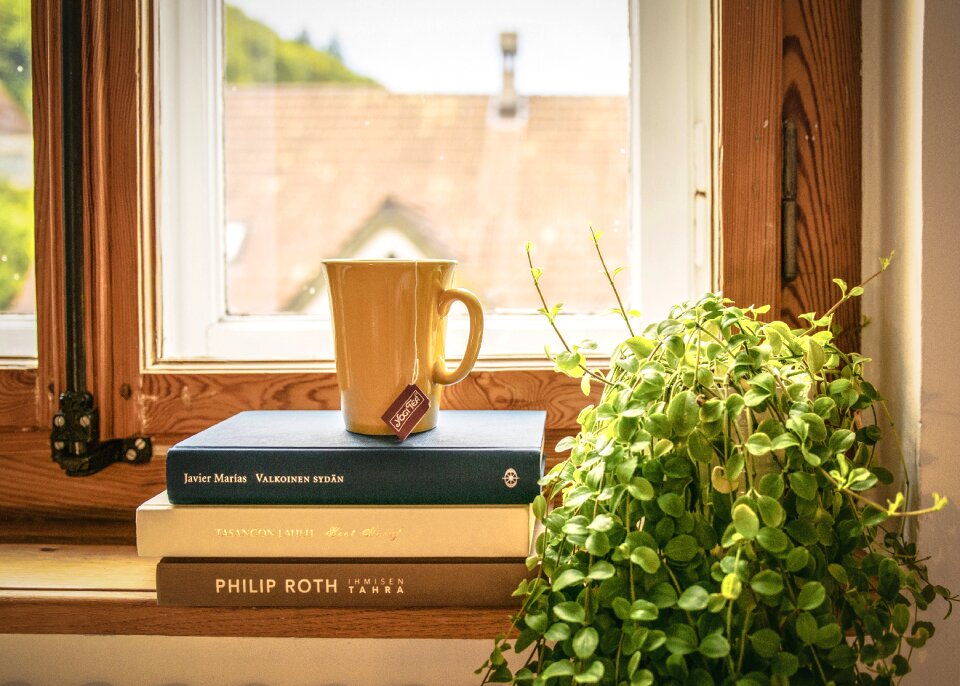 Literature window sill houseplant