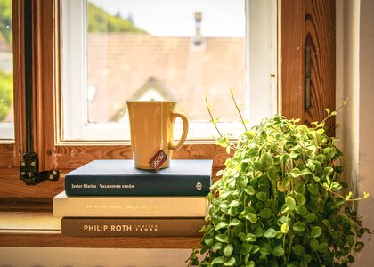 Literature window sill houseplant