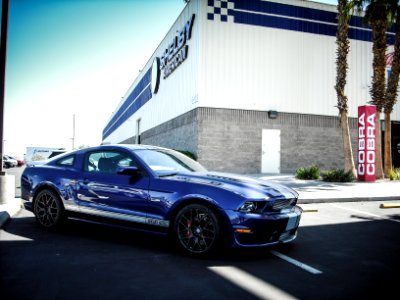 shelby GT/SC 