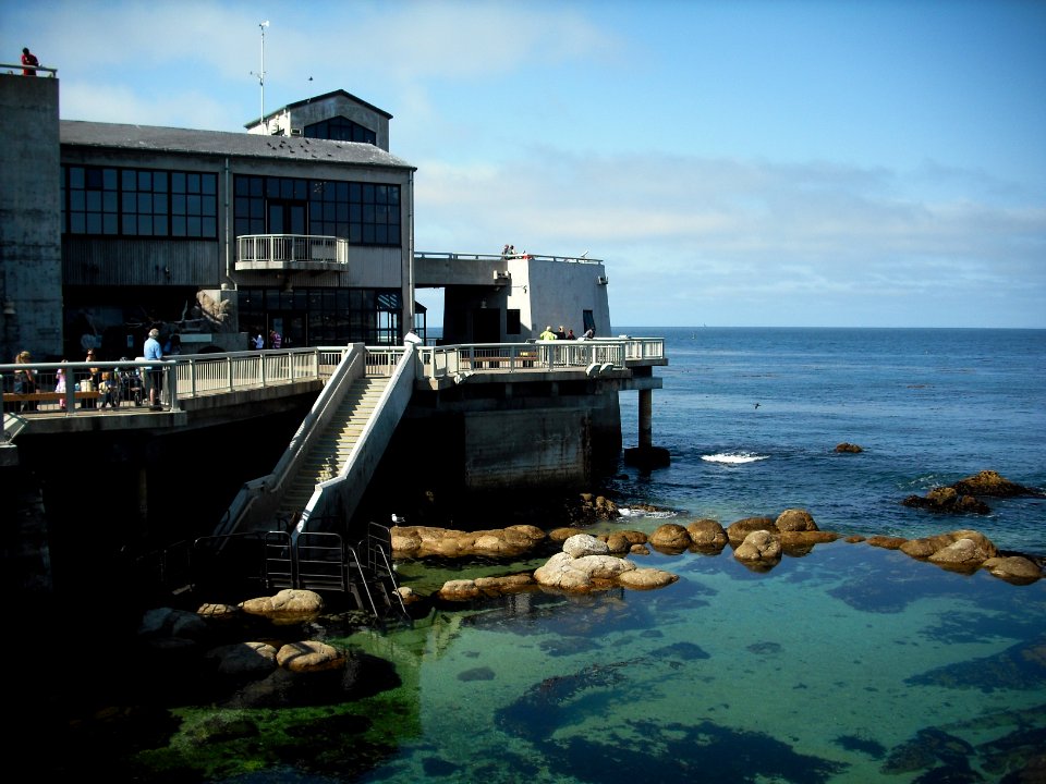 monterey bay aquarium 
