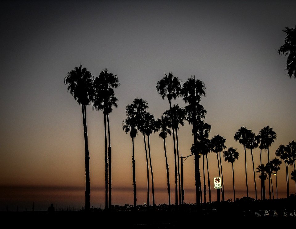 palms of santa barbara 