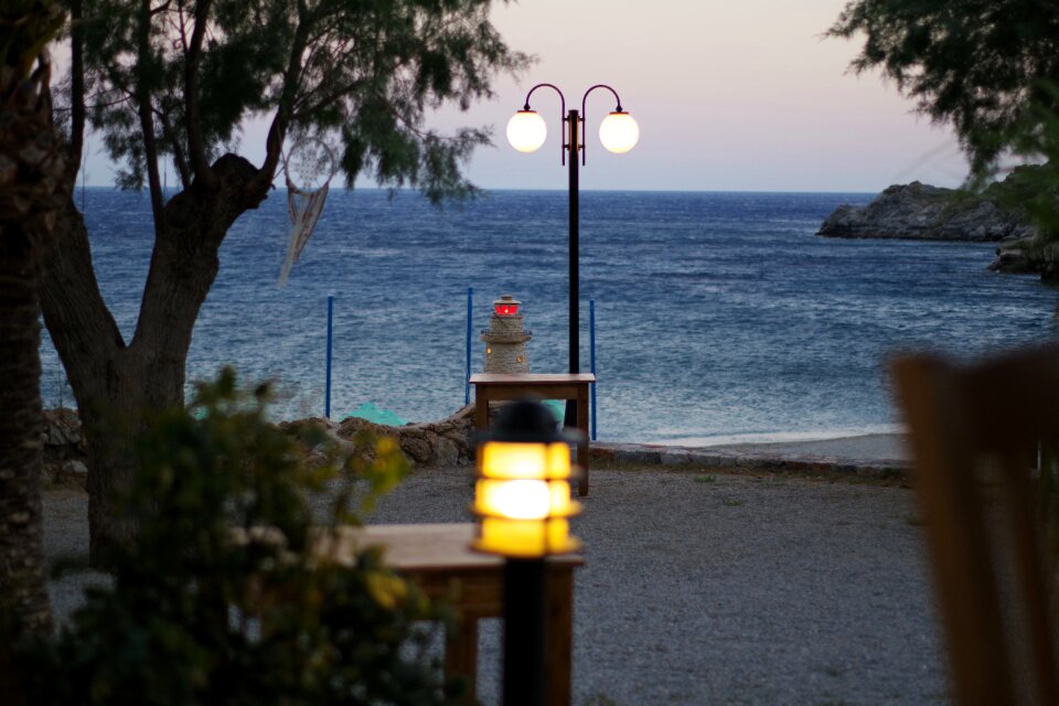 Greece sea tree