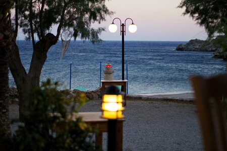Greece sea tree