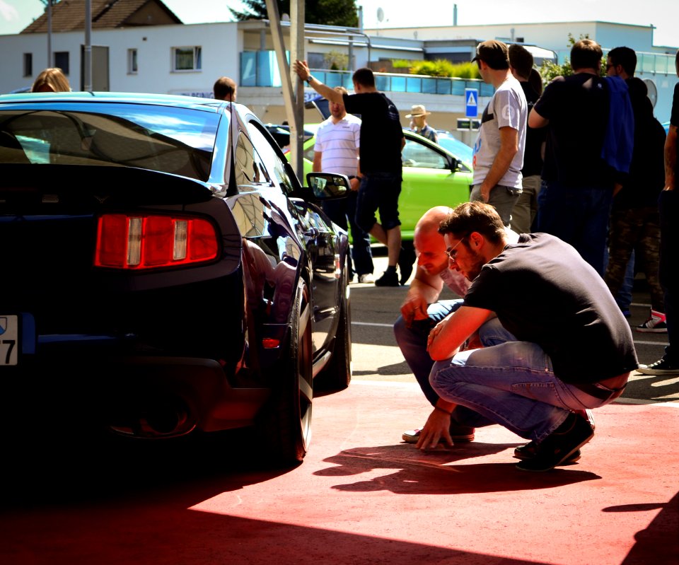 mustang 