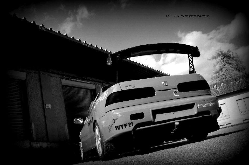 wings... 
