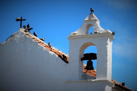 Tenerife bells birds photo