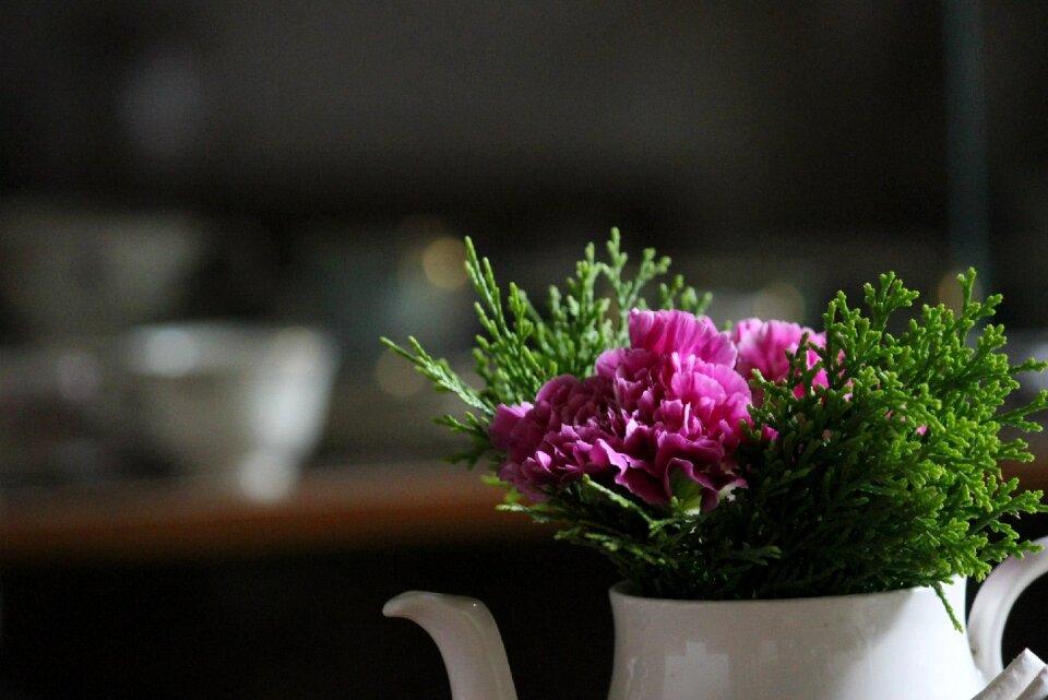 Flower green pink flower