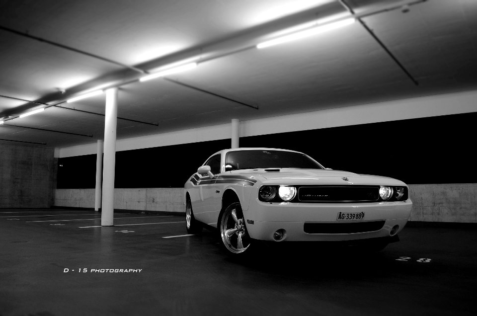 challenger black and white 