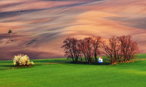 Field chapel spring photo