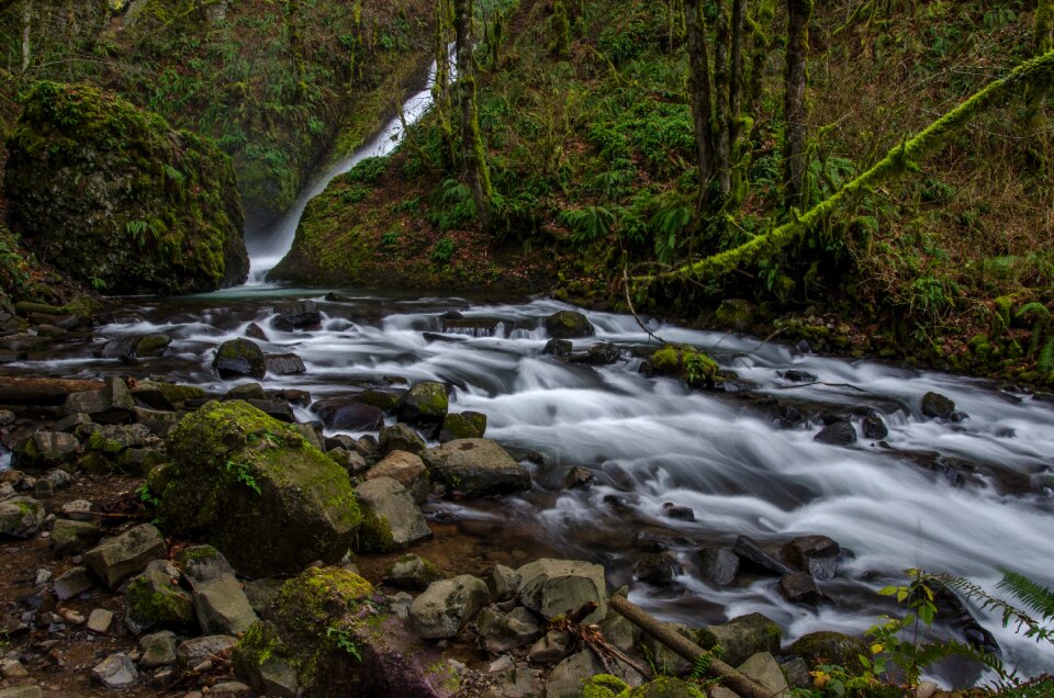 Nature stream outdoor