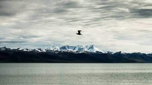 The scenery tibet the qinghai-tibet plateau