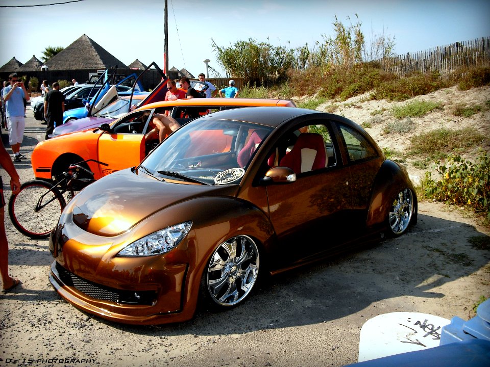 beetle at the beach 