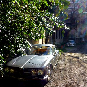 Alfa-Romeo, Bologna, Italia photo