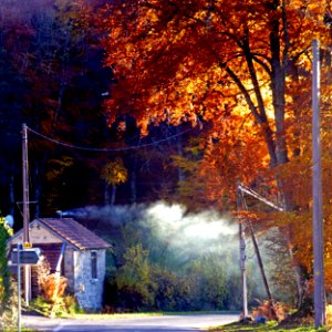 D 25, Allier, Auvergne 