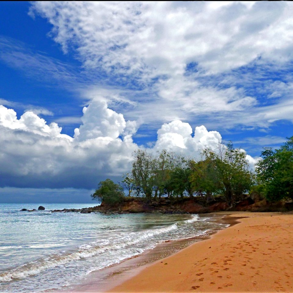 Anse des îles, Guadeloupe, France photo