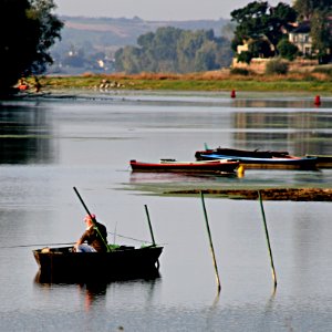Pêche Tranquille à Bouchemaine 