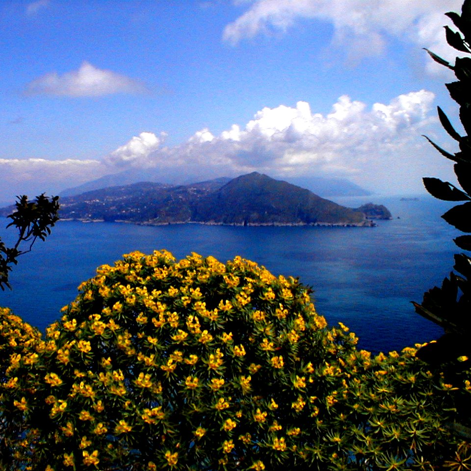 Penisola Sorrentina vista da Capri photo