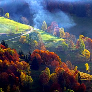 Schwarzwald, Baden-Württemberg, Deutschland 