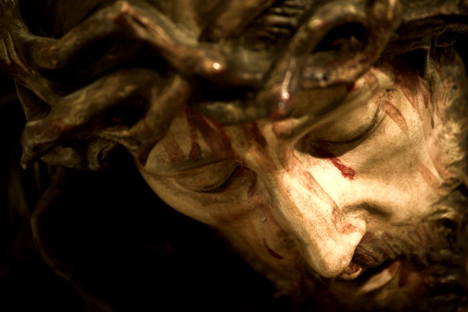 Crucificado en sus tormentos 