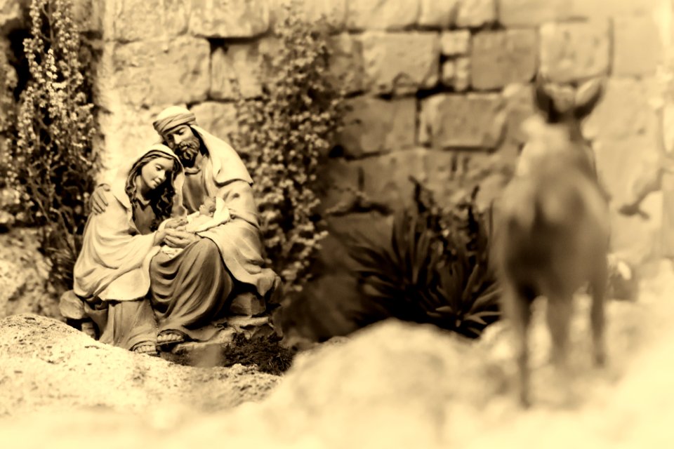 Las pajas del pesebre 