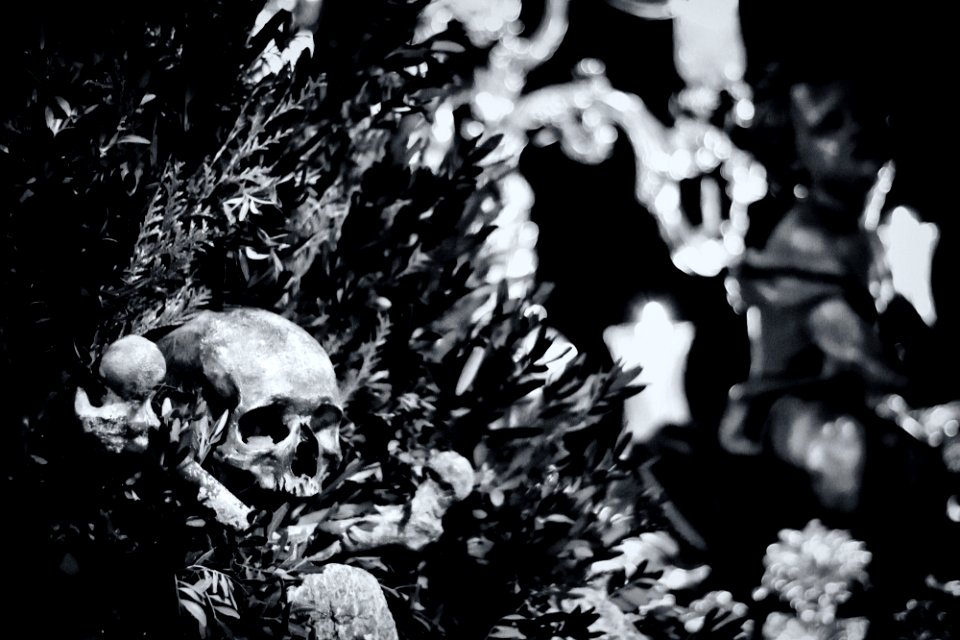 Después de la muerte 