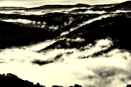 Horizonte de niebla photo