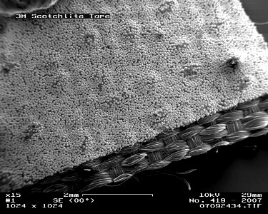 Reflective_leg_band_in_Scanning_Electron_Microscope,_15x 