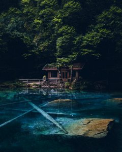 nora-gorlitz-362656 